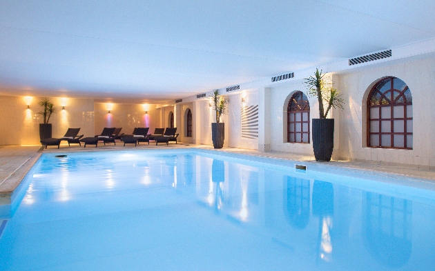 An indoor swimming pool surrounded by chairs and plants