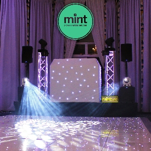 Mint DJs